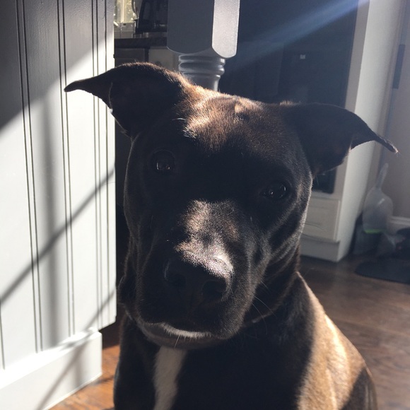 Meet your Posher, Georgia - Picture 1 of 1